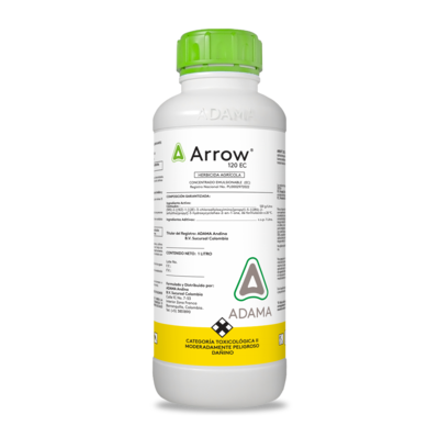 arrow bodegon.png