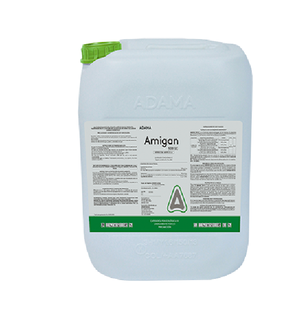 AMIGAN