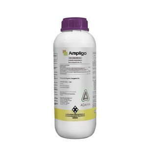 ampligo