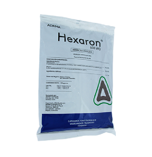 hexaron
