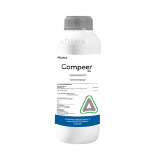 COMPEER FRASCO