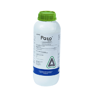 PASO FRASCO