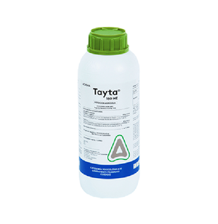 tayta frasco