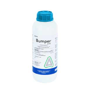 bumper