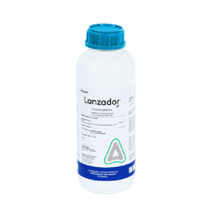 lanzador