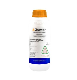 Gunter_Frasco