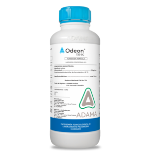 odeon.png