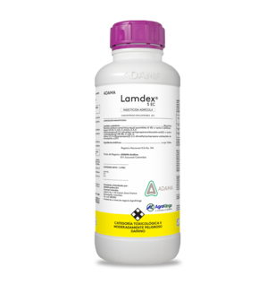 Lamdex bodegón.png