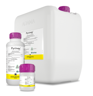 pyrinex bodegon.png