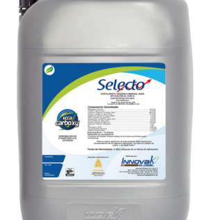 selecto