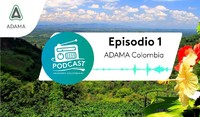 podcast episodio 1