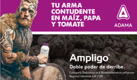 ARTICULO