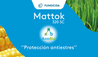 ARTICULO
