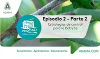 podcast episodio 2 parte2