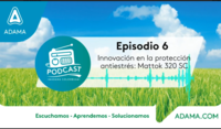 Episodio 6 