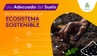 uso del suelo