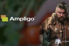 Controla Pasador del Fruto en Tomate con Ampligo