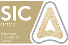 Video testimonial arroz
