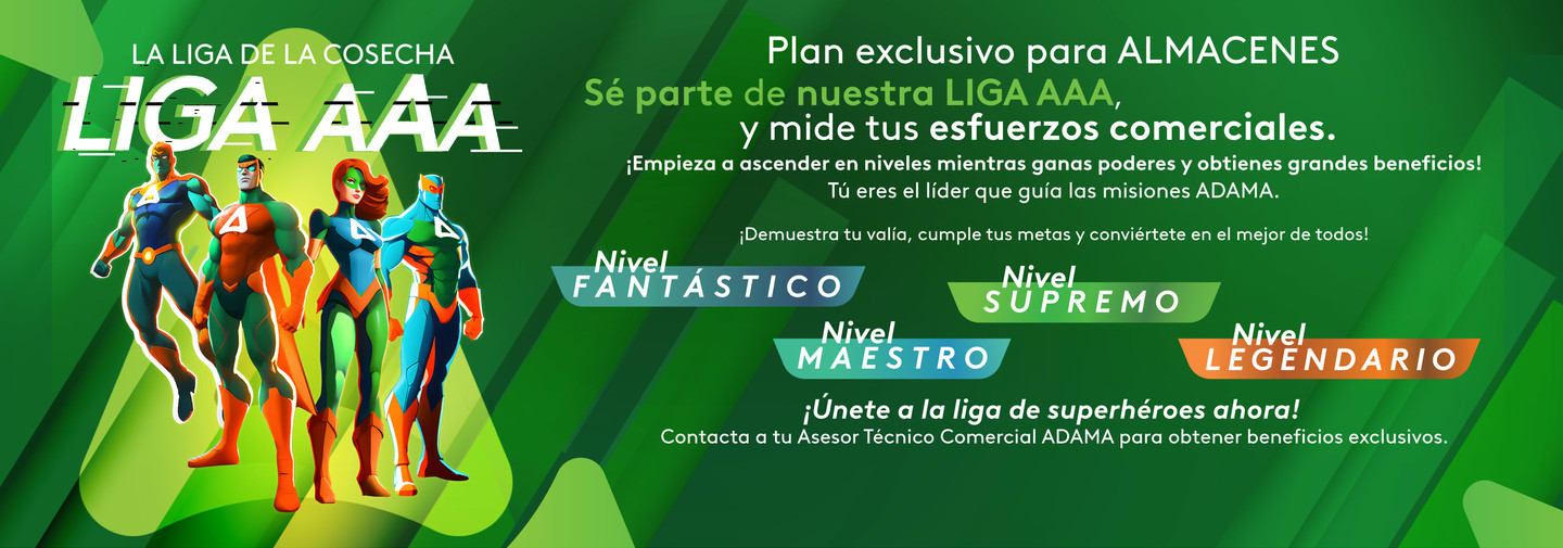 Resumen niveles