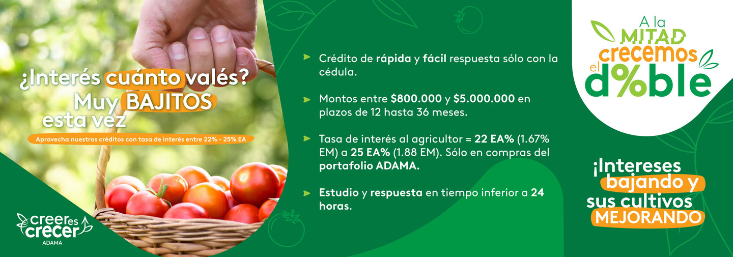 condiciones de credito