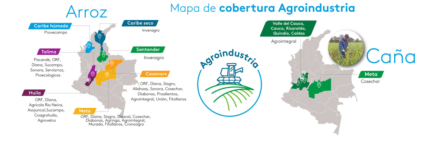 Agroindustria arroz
