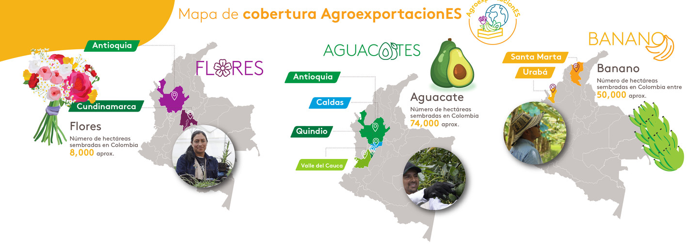 Hectarea Agroexportaciones