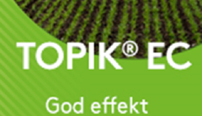 Topik banner 400 pix billede