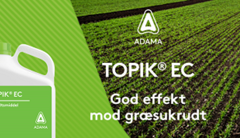 Topik banner 2022