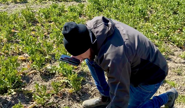 Farmer in the field Farmer in the field