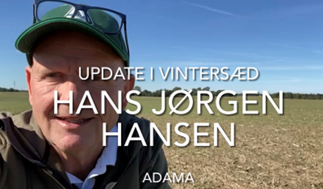 Billede af Hans Jørgen Hansen i vinterhveden september