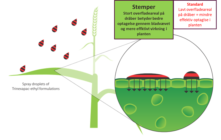 Stemper DK