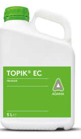 Topik Dunk billede