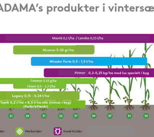 Produkter i vintersæd billede