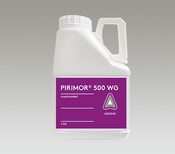 Pirimor dunk