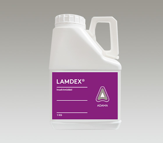lamdex 1 kg dunk.jpg
