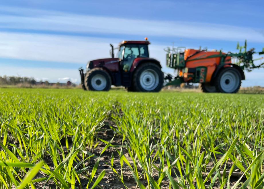 Crop protection in the field