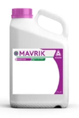Mavrik dunk etiket billede