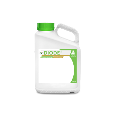Diode picture of the can