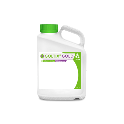 Picture of the can Goltix gold