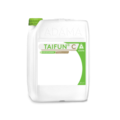 Taifun dunk