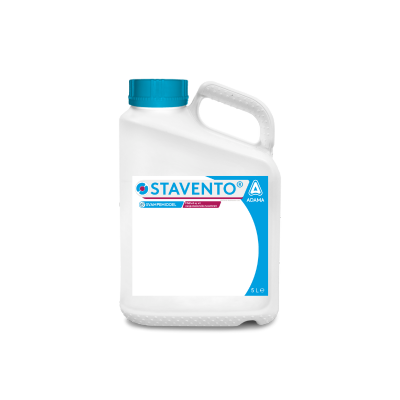 Stavento can