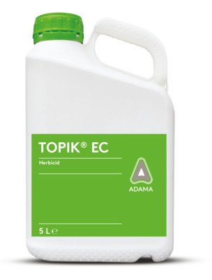 Topik dunk