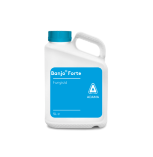 Banjo Forte 5 liter dunk billede