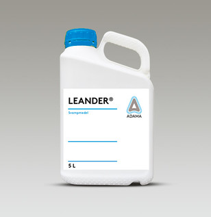 Leander 5 liter dunk