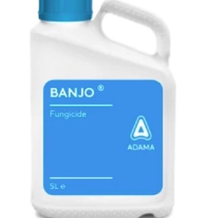 Banjo 5 liter dunk billede