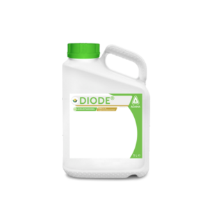 Diode picture of the can