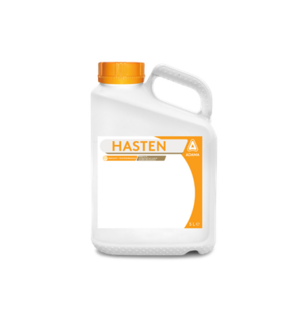 Hasten can 5L