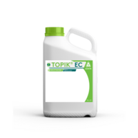 Billede af Topik 5l dunk