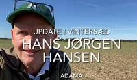 Billede af Hans Jørgen Hansen i vinterhveden september