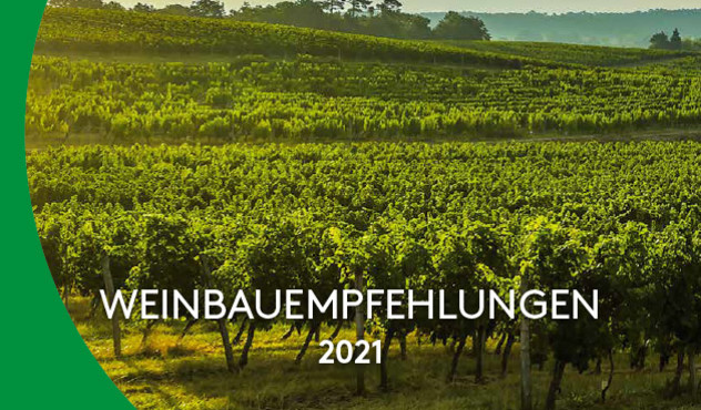 Broschüre - Weinbau 2021 - DE